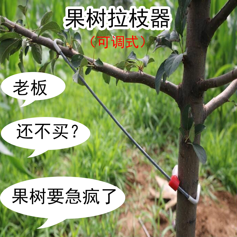 Fruit tree twig puller Angle opening Apple Pear Plum Cherry Tree Agriculture Adjustablein the Flower delivery/Flowers simulation/Plants gardening , Gardening supplies , Other Garden Supplies category - from Buy2taobao.com to provide professional Taobao agent buy service