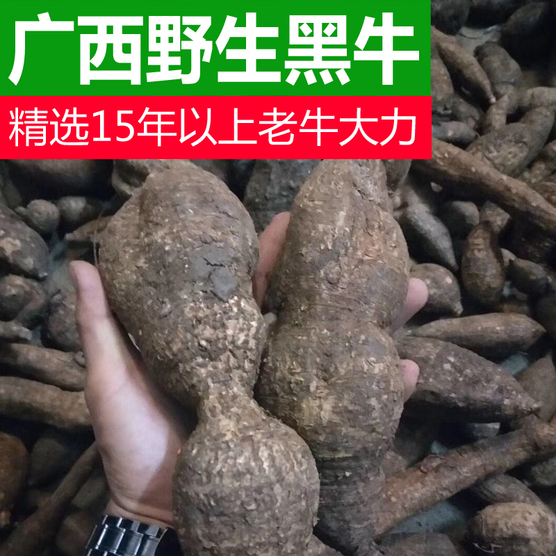 wild Beautiful Millettia Root Pig Lotus Jinzhonggen Optional 16 fresh Beautiful Millettia Root Silty section Seasonin the Traditional nourishing food , Medicinal and Edible Food , Other Medicinal and Edible Food category - from Buy2taobao.com to provide professional Taobao agent buy service