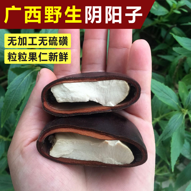 广西纯野生阴阳子把玩250克 过江龙木腰子配双肾子风流果泡酒材料在类目 传统滋补营养品, 药食同源食品, 其他药食同源食品中 - 来自Buy2taobao.com提供专业的淘宝代购服务