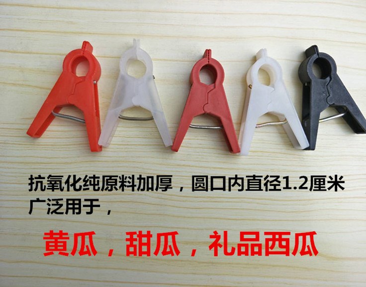 greenhouse cucumber tomato Clamp cucumber Clamp Tomatoesin the Flower delivery/Flowers simulation/Plants gardening , Gardening supplies , Other Garden Supplies category - from Buy2taobao.com to provide professional Taobao agent buy service