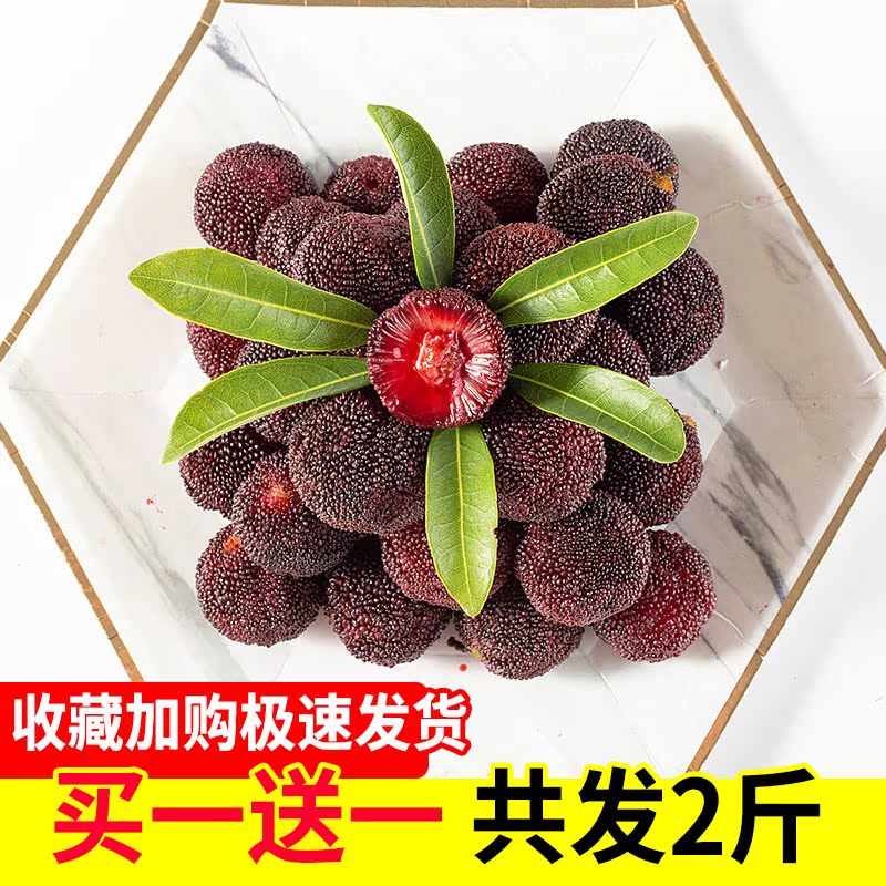 新鲜杨梅三斤当季水果现摘杨梅鲜果应季水果孕妇【顺丰空运包邮】在类目 水产肉类/新鲜蔬果/熟食, 新鲜水果, 其它中 - 来自Buy2taobao.com提供专业的淘宝代购服务