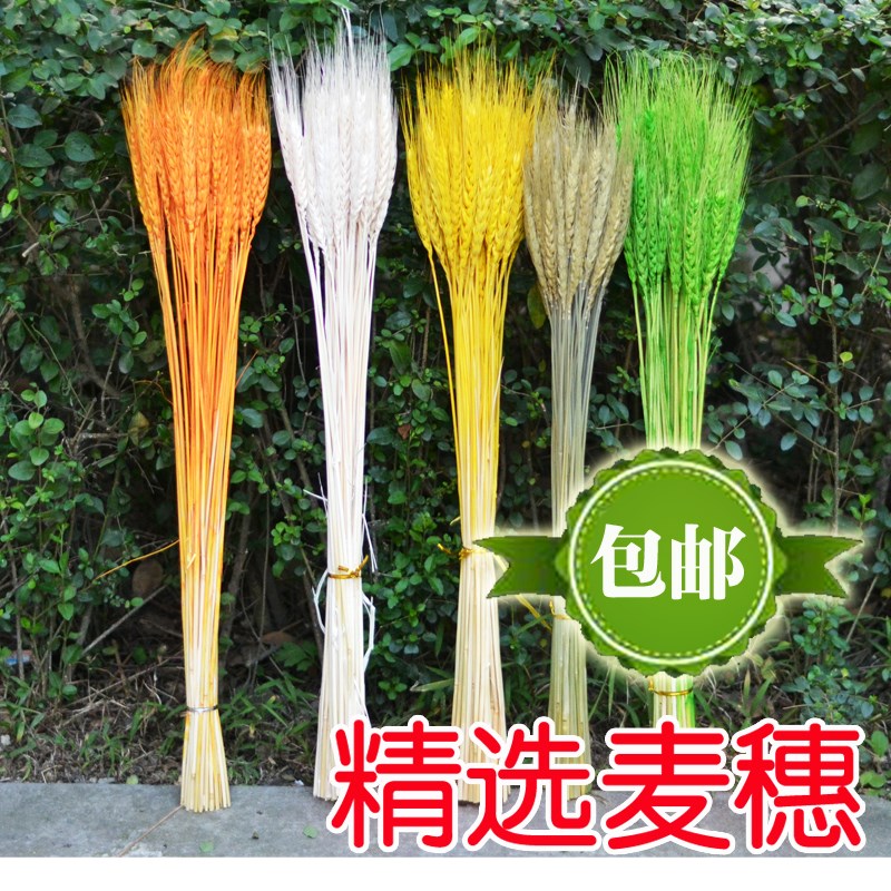 包邮麦穗装饰干花花束小麦大麦天然风干大卖客厅落地装饰70CM50支|msdalam kategori Aksesori rumah, pasu/bunga/bunga tiruan/perhiasan imitasi, bunga kering/Petal/pakej bunga kering/ranting kering - dari Buy2taobao.com untuk memberikan perkhidmatan ejen Taobao profesional membeli