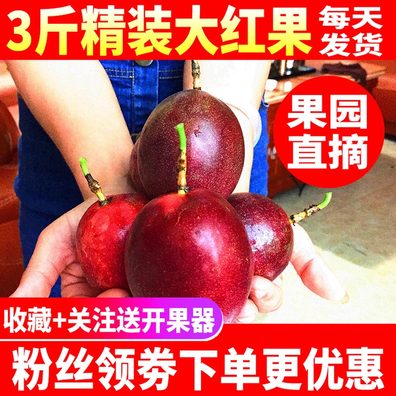 Guangxi Passion fruit fresh Passionflower Tropical fruit Eggs, fruit Hardcover 3 bright red AHA Fragrant and sweetin the Aquatic meat/Fresh fruits and vegetables/Cooked , Fresh fruit , Passion Fruit category - from Buy2taobao.com to provide professional Taobao agent buy service
