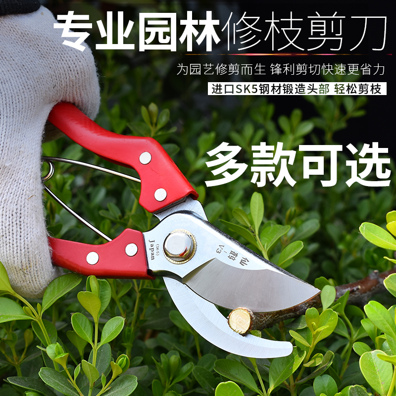 gardens gardening scissors Gardener Squid trim branch scissors Fruiting clipping Flower Scissors SK5 Pruning shearsin the Hardware/Tool , Hand Tools , Scissors , Gardening shears category - from Buy2taobao.com to provide professional Taobao agent buy service