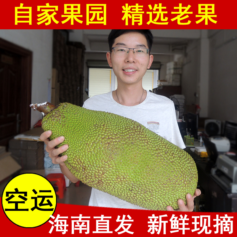 【四季果鮮】海南三亞新鮮木菠蘿 菠蘿蜜 馬來西亞6號 整個賣包郵在類目 水產肉類/新鮮蔬果/熟食, 新鮮水果, 其它中 - 來自Buy2taobao.com提供專業的淘寶代購服務