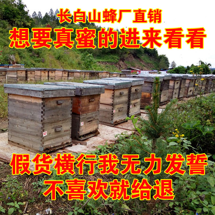 长白山农家蜂蜜百花蜜段树蜜结晶蜜巢蜜雪蜜无污染药害500g包邮在类目 传统滋补营养品, 蜂蜜中 - 来自Buy2taobao.com提供专业的淘宝代购服务