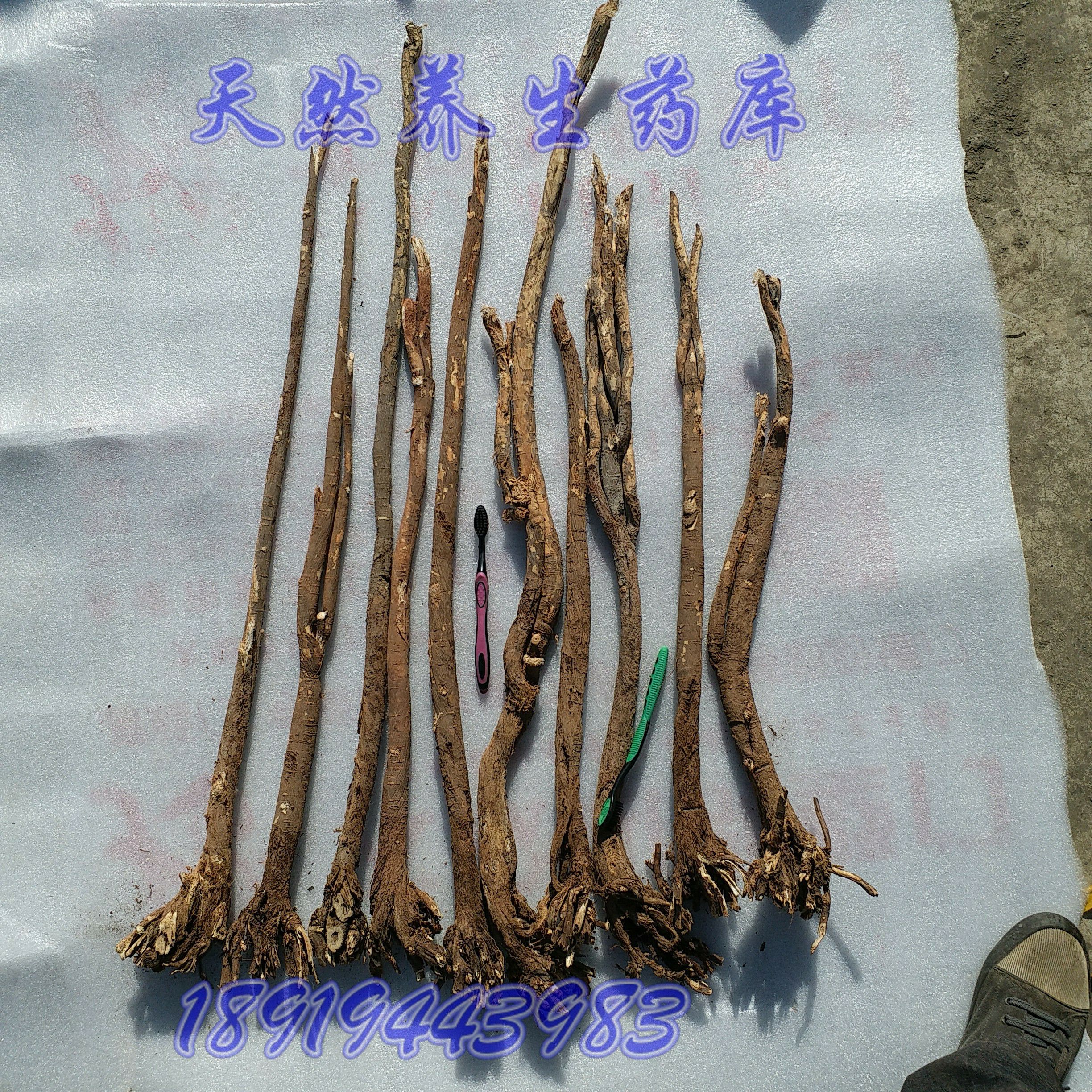岷山特产森林纯自然野生特级多年生红芪红芪片黄芪北芪500克包邮在类目 传统滋补营养品, 其他传统滋补品, 黄芪中 - 来自Buy2taobao.com提供专业的淘宝代购服务