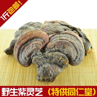  野生灵芝 紫灵芝 （特供同仁堂）  买1送1 瓶破壁孢子粉