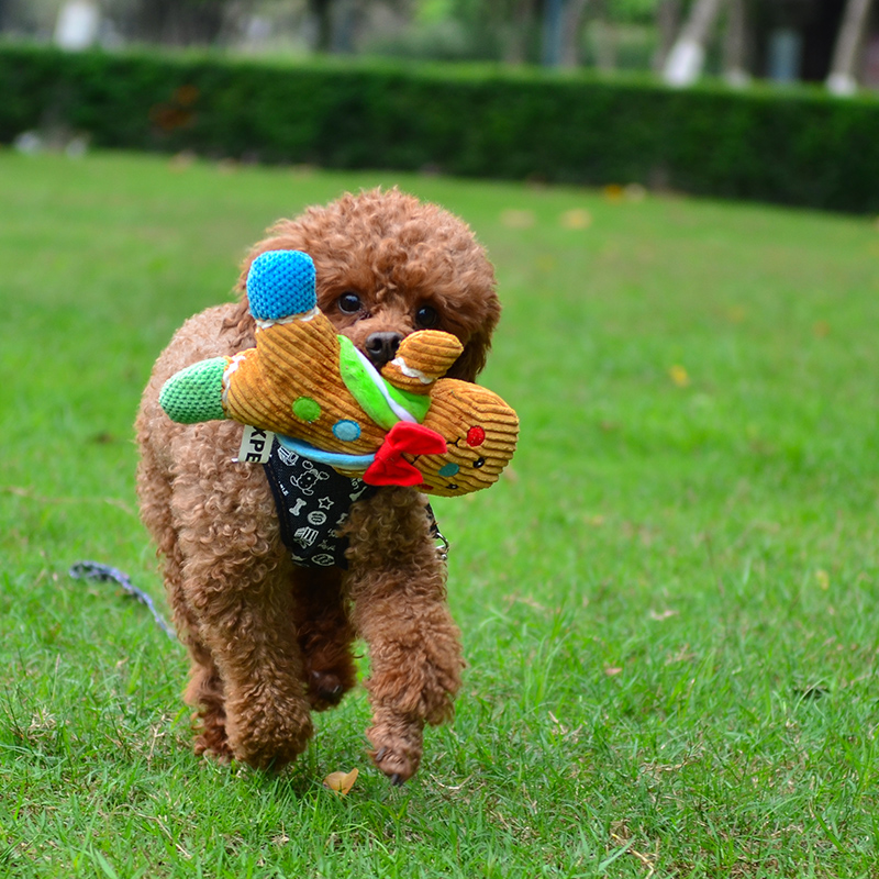 Doug Gingerbread Man Plush Vocalization Dogs Kitty Toys Dogs Toys Puppies Molar Toysin the Pet/Pet food and supplies , Cat/Dog Toys , Sound toys category - from Buy2taobao.com to provide professional Taobao agent buy service