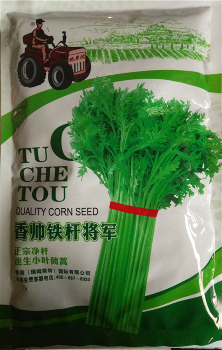露地菜园高档品种 香帅铁杆将军速生小叶茼蒿 光杆茼蒿种子|msdalam kategori barangan pertanian, Seed/Anak benih, Benih sayur-sayuran - dari Buy2taobao.com untuk memberikan perkhidmatan ejen Taobao profesional membeli