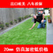 上下架计划:特价批发仿真草坪花加密幼儿园学校人造阳台假草皮地毯塑料人工