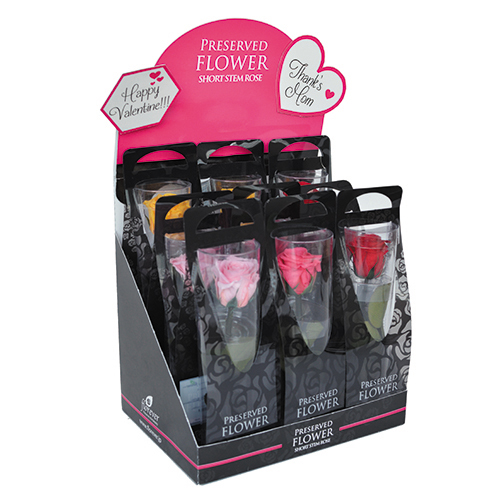 Florever Columbia Imported trumpet Pruning rose Preserved Flowers diy Material wrapped single branch /FL072in the Flower delivery/Flowers simulation/Plants gardening , Spend eternity/Dried flowers , Spend eternity category - from Buy2taobao.com to provide professional Taobao agent buy service