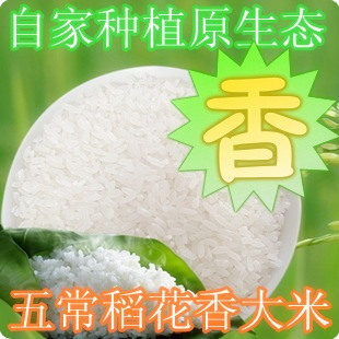  五常稻花香 有机大米 自家种植 农家现磨  东北 五常大米 大米