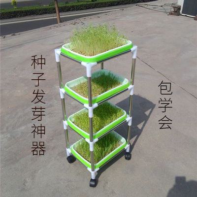 水培育苗种子发芽神器培育苗盆家用塑料盘盒无土栽培育苗自制皿