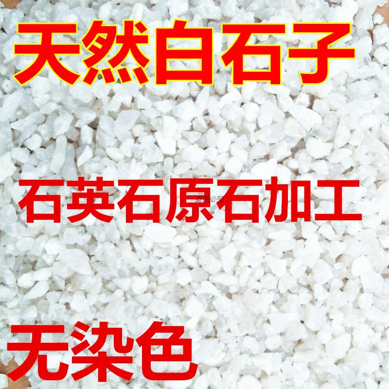 天然白石子混合水泥做水磨石 多肉铺面石鱼缸装饰石水质过滤石5斤|msdalam kategori penghantaran bunga/bunga simulasi/tumbuhan berkebun, Gardening Supplies, Peralatan Perkebunan lain - dari Buy2taobao.com untuk memberikan perkhidmatan ejen Taobao profesional membeli