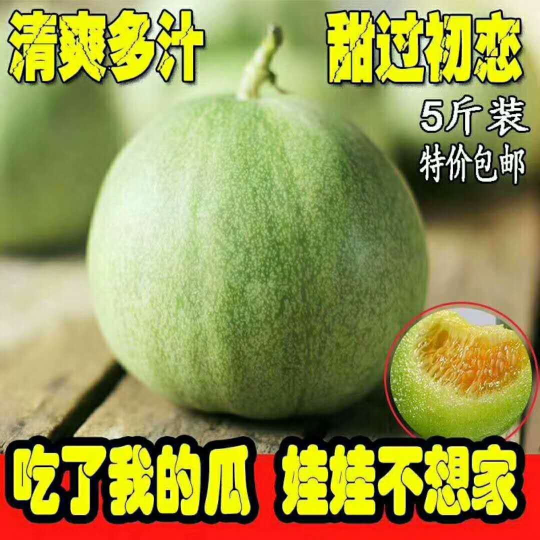 5斤香瓜現貨綠寶石甜瓜孕婦水果脆甜可口香味濃郁農家自種超好吃在類目 水產肉類/新鮮蔬果/熟食, 新鮮水果, 甜瓜中 - 來自Buy2taobao.com提供專業的淘寶代購服務