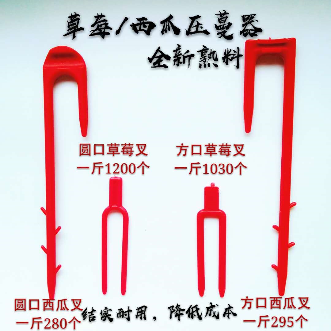 黄瓜固定卡简便定植藤蔓植物卡地卡子匍匐茎草莓压苗叉西瓜固定夹|msdalam kategori penghantaran bunga/bunga simulasi/tumbuhan berkebun, Gardening Supplies, Peralatan Perkebunan lain - dari Buy2taobao.com untuk memberikan perkhidmatan ejen Taobao profesional membeli