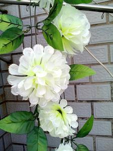 菊花藤条清明节用花 祭祀花墓地花扫墓花上坟花 墓地墓碑花条便宜