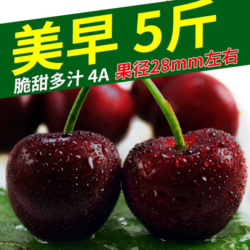 车厘子山东烟台大樱桃5斤现货新鲜水果3-10点包邮车里子殷桃|ruв категории водной мясо/свежие фрукты и овощи/еда, свежие фрукты, вишня/вишня - от Buy2taobao.com для оказания профессиональной услуги покупки агента Taobao