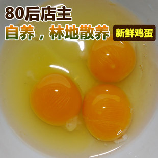  崇明 店主自养 野树林散养鸡 新鲜草鸡蛋/土鸡蛋/笨鸡蛋