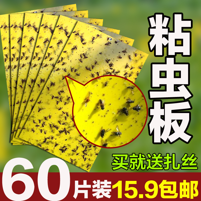双面粘虫板黄板诱虫板沾蚜虫杀黑虫灭小飞虫果蝇粘白粉虱板大棚在类目 鲜花速递/花卉仿真/绿植园艺, 园艺用品, 其它园艺用品中 - 来自Buy2taobao.com提供专业的淘宝代购服务