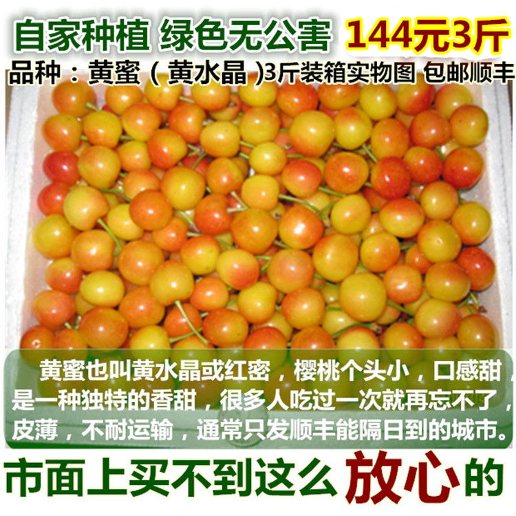 農家自種露天黃蜜黃水晶軟甜皮薄櫻桃黃櫻桃包郵順豐3斤在類目 水產肉類/新鮮蔬果/熟食, 新鮮水果, 車釐子/櫻桃中 - 來自Buy2taobao.com提供專業的淘寶代購服務