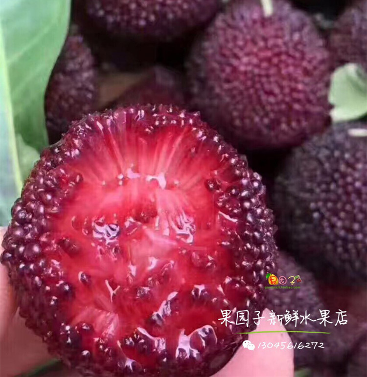 新品杨梅新鲜水果现摘现发云南杨梅礼盒装5斤多省包邮在类目 水产肉类/新鲜蔬果/熟食, 新鲜水果, 其它中 - 来自Buy2taobao.com提供专业的淘宝代购服务