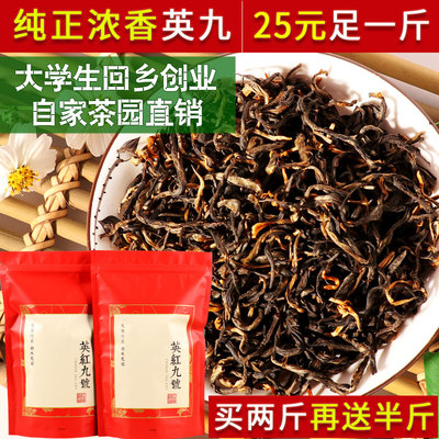 新春茶  英德红茶 英红九号 高性价比 一斤包邮 买两斤再送半