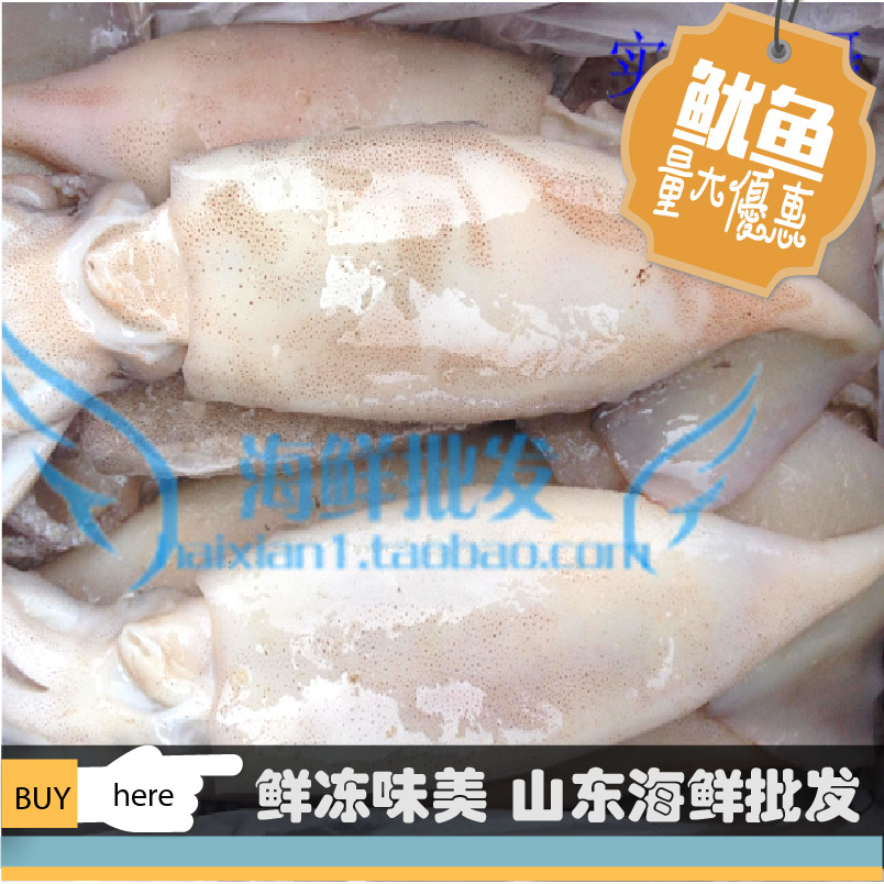 鱿魚 鮮凍鱿魚 國産大鱿魚 鱿魚 冷凍鱿魚 單凍鱿魚 17在類目 水產肉類/新鮮蔬果/熟食, 海鮮/水產品/製品, 魷魚, 魷魚乾中 - 來自Buy2taobao.com提供專業的淘寶代購服務