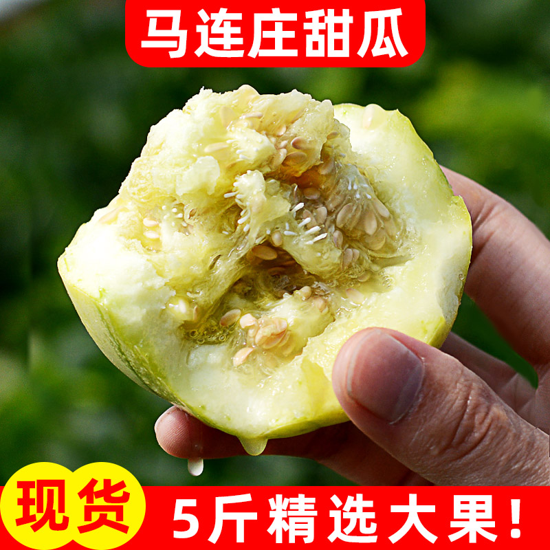 绿宝甜瓜新鲜应季水果特产马连庄农家脆蜜当季小香瓜自然成熟5斤在类目 水产肉类/新鲜蔬果/熟食, 新鲜水果, 甜瓜中 - 来自Buy2taobao.com提供专业的淘宝代购服务