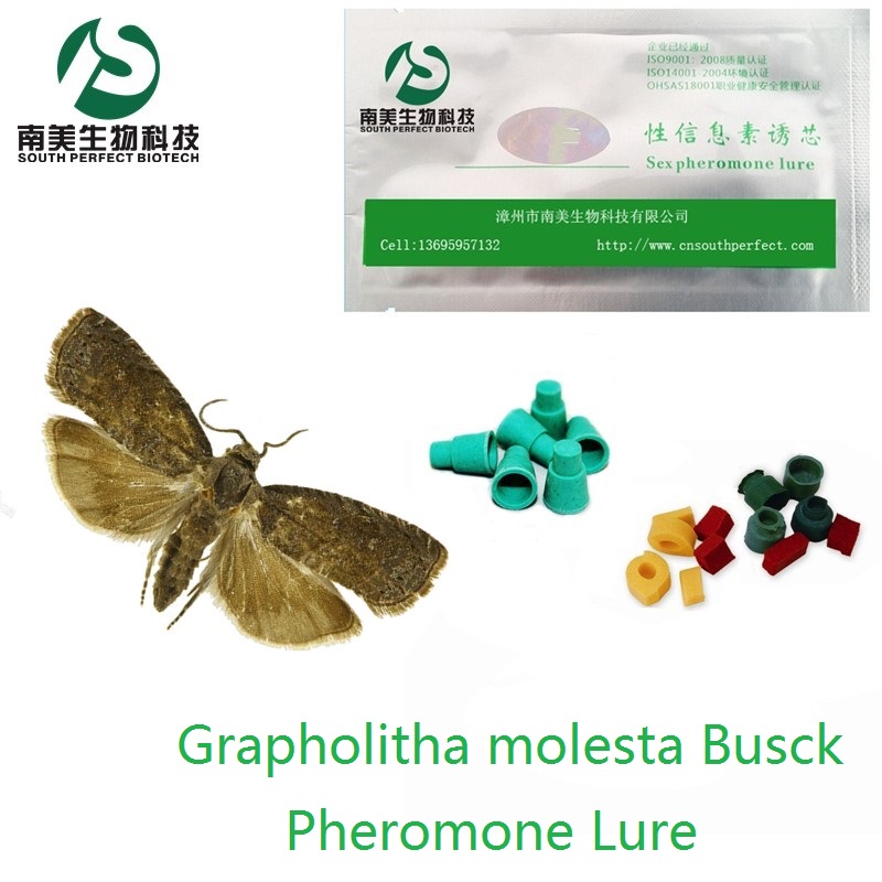20 Grapholithamolesta information Sex attractant Insect attractantin the Flower delivery/Flowers simulation/Plants gardening , Gardening supplies , Other Garden Supplies category - from Buy2taobao.com to provide professional Taobao agent buy service