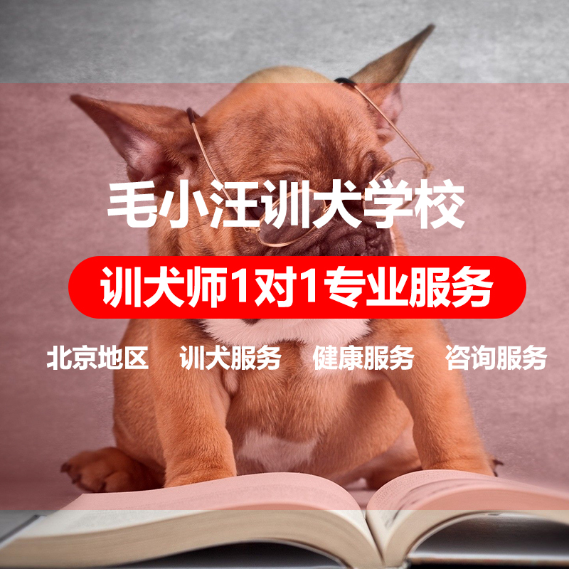北京河北保定唐山天津地区狗学校狗狗训练宠物纠正训犬训狗基地在类目 宠物/宠物食品及用品, 宠物生活服务, 宠物训练中 - 来自Buy2taobao.com提供专业的淘宝代购服务