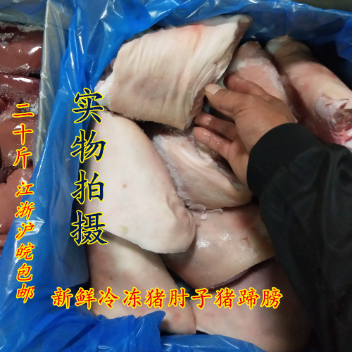 新鲜冷冻生猪肘子猪蹄膀酒店宴席食材20斤9/10个可选江浙沪皖包邮|msdalam kategori daging perikanan/Buah-buahan segar dan sayur-sayuran/dimasak, daging mentah/daging, daging babi, lain - dari Buy2taobao.com untuk memberikan perkhidmatan ejen Taobao profesional membeli