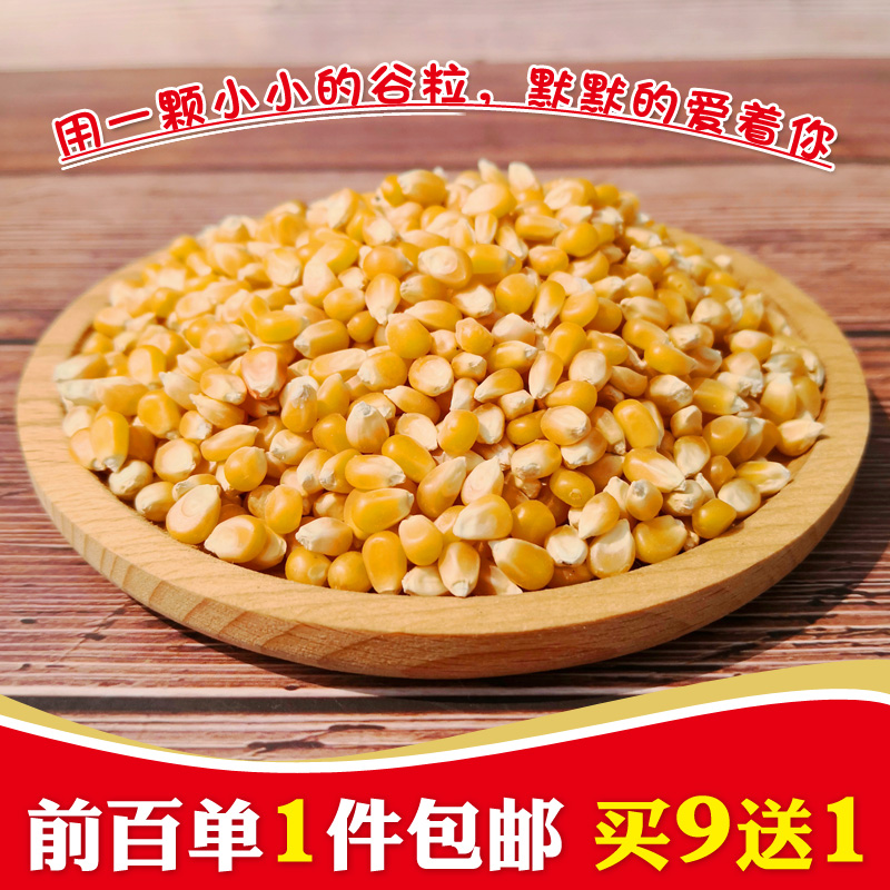 蓬松好吃自制爆米花玉米粒爆裂小玉米东北农家自种杂粮微波炉适用在类目 粮油米面/南北干货/调味品, 米/面粉/杂粮, 玉米中 - 来自Buy2taobao.com提供专业的淘宝代购服务
