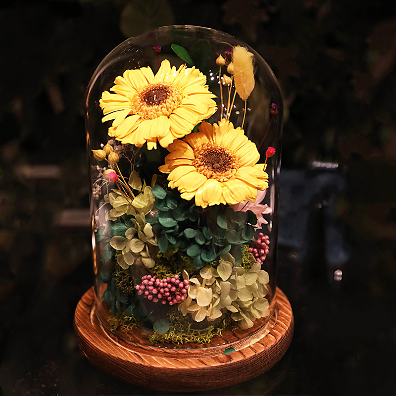 Spend eternity Sunflower Night light Decoration Glass cover Sun flower Girlfriend A birthday present Valentine's Day luminescencein the Flower delivery/Flowers simulation/Plants gardening , Spend eternity/Dried flowers , Spend eternity category - from Buy2taobao.com to provide professional Taobao agent buy service