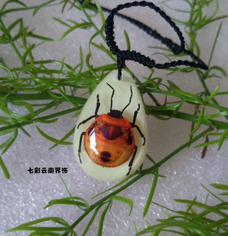 animal specimen insect Amber Necklace Schoolboy personality originality gift Japan and South Korea Pendant have more cash than can be accounted for Simplicity student Jewelryin the Arts and crafts , Other features crafts category - from Buy2taobao.com to provide professional Taobao agent buy service