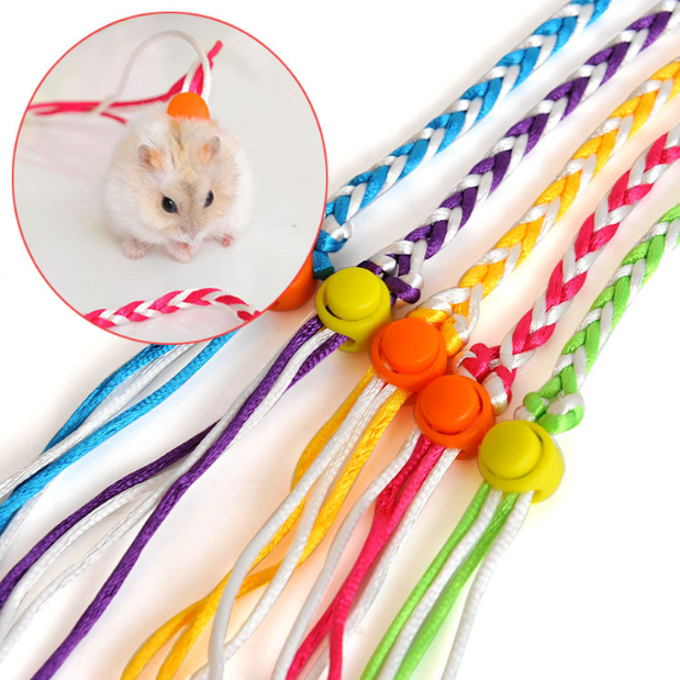 宠物兔侏儒兔溜兔绳豚鼠荷兰猪牵引带小狗牵引绳宠物猫猫牵引带在类目 宠物/宠物食品及用品, 兔类及其用品, 兔绳中 - 来自Buy2taobao.com提供专业的淘宝代购服务
