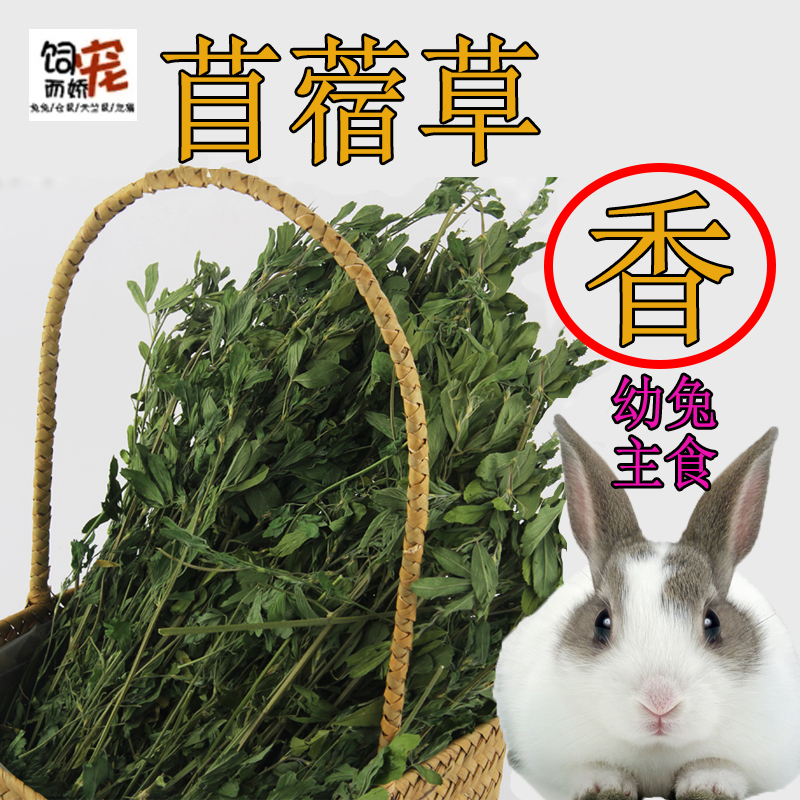 宠物兔吃的草龙猫粮食紫苜蓿草兔粮草干草幼兔子草苜蓿草新鲜优质|msdalam kategori haiwan peliharaan/makanan haiwan dan bekalan, Arnab dan bekalan, Bunny rumput kering - dari Buy2taobao.com untuk memberikan perkhidmatan ejen Taobao profesional membeli