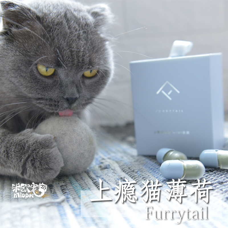 FURRYTAIL 白白上瘾猫薄荷羊毛毡球 猫征服了宇宙 猫薄荷征服了猫在类目 宠物/宠物食品及用品, 猫/狗玩具, 橡胶球/球形玩具中 - 来自Buy2taobao.com提供专业的淘宝代购服务