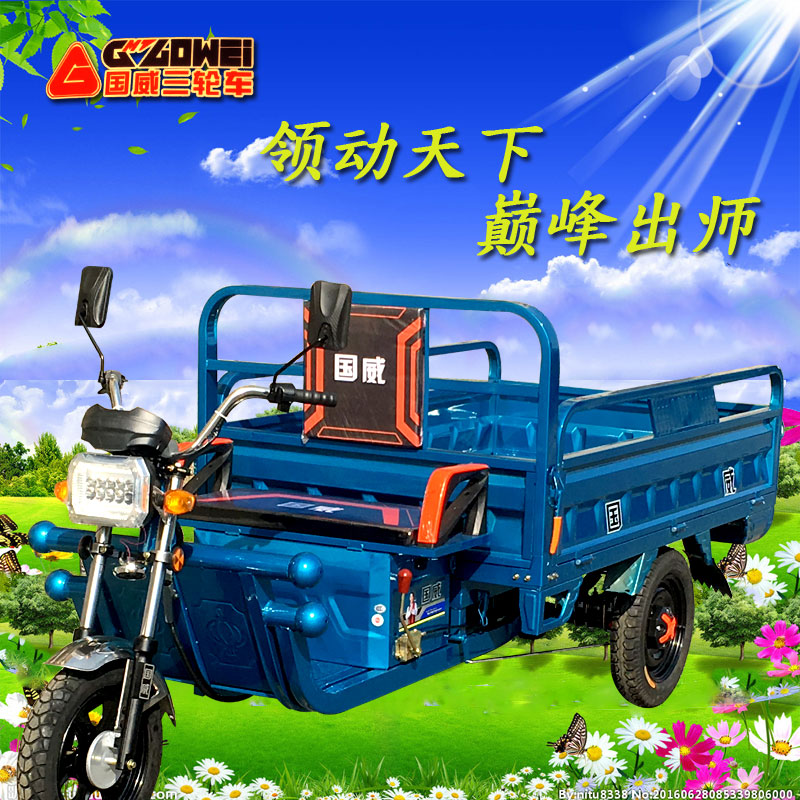 三轮电动电瓶车车棚货运拉货家用三轮车平板功率载重王电动三轮车|ruв категории электромобиль/аксессуары/транспортных средств, электромобилей транспортного средства, электрического велосипеда - от Buy2taobao.com для оказания профессиональной услуги покупки агента Taobao