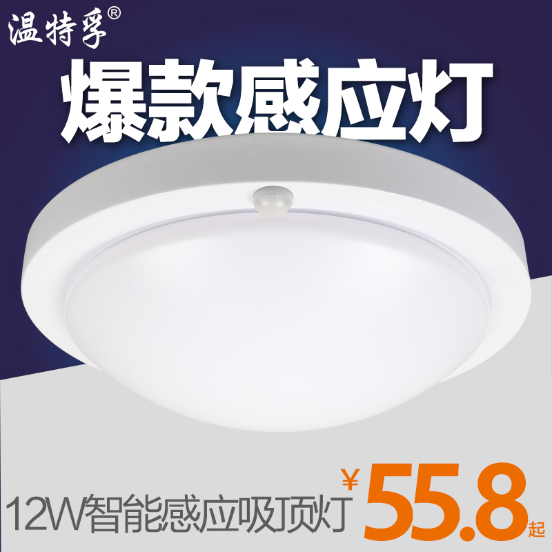 led人體感應燈樓道吸頂燈 聲控燈過道光控燈紅外線樓梯車庫陽台燈在類目 家裝主材, 燈具燈飾, 感應燈中 - 來自Buy2taobao.com提供專業的淘寶代購服務