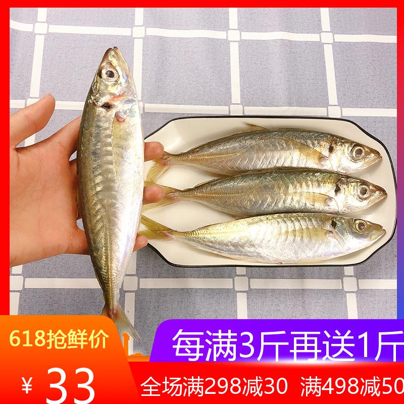 东山岛海鲜 野生大巴浪鱼 4条一斤 新鲜海捕速冻海鱼 海中氨基酸在类目 水产肉类/新鲜蔬果/熟食, 海鲜/水产品/制品, 其它中 - 来自Buy2taobao.com提供专业的淘宝代购服务