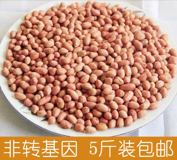 兰考农家自种18年新鲜花生米生小白沙粉红皮花生仁手剥5斤装包邮在类目 零食/坚果/特产, 山核桃/坚果/炒货, 花生中 - 来自Buy2taobao.com提供专业的淘宝代购服务