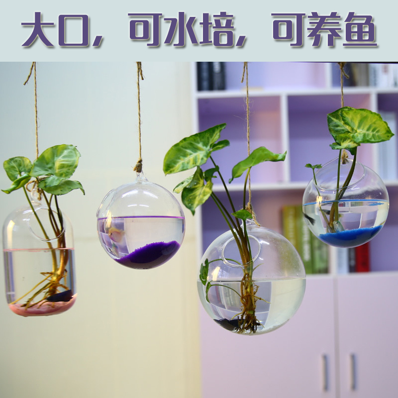 悬挂玻璃瓶个性创意透明花瓶 水培植物小吊瓶斗鱼鱼缸家居装饰品在类目 家居饰品, 花瓶/花器/仿真花/仿真饰品, 花器/花瓶, 花瓶中 - 来自Buy2taobao.com提供专业的淘宝代购服务