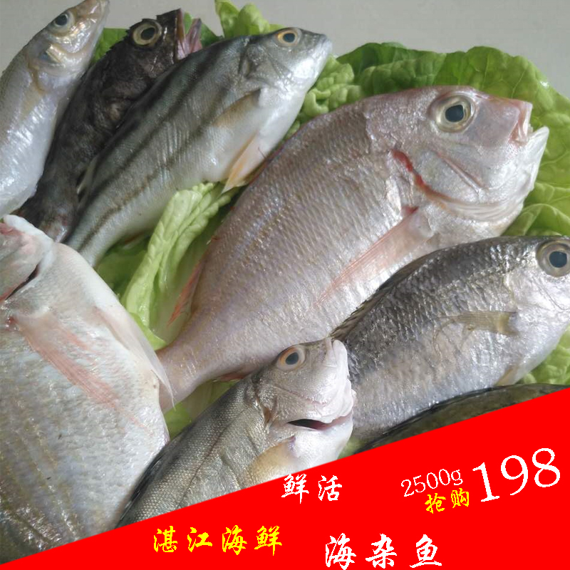 湛江海鮮海雜魚野生新鮮深海魚冷凍魚海捕雜魚鮮活海鮮批發包郵在類目 水產肉類/新鮮蔬果/熟食, 海鮮/水產品/製品, 其它中 - 來自Buy2taobao.com提供專業的淘寶代購服務