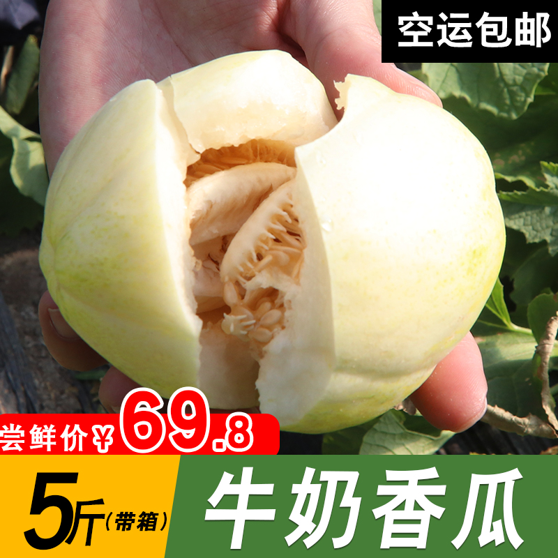 【祺宝农庄】牛奶香瓜5斤新鲜水果无皮甜脆东北香瓜约8-11个 空运|ruв категории водной мясо/свежие фрукты и овощи/еда, свежие фрукты, другие - от Buy2taobao.com для оказания профессиональной услуги покупки агента Taobao