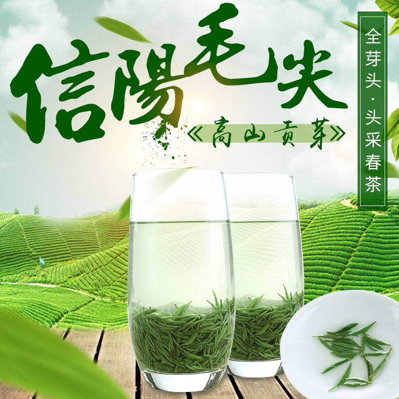 2019年新茶信阳毛尖明前头采特级全芽头高山小芽茶农自产自销500g在类目 茶, 绿茶(新), 信阳毛尖中 - 来自Buy2taobao.com提供专业的淘宝代购服务