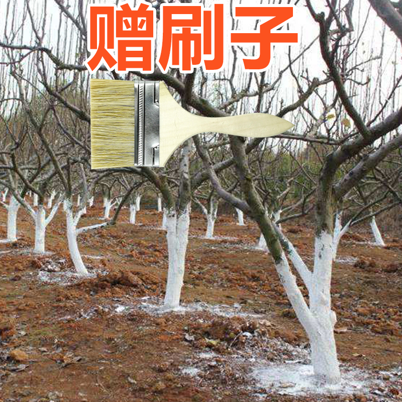 树木涂白剂园林公园绿化大树干涂白果树绿植刷白防虫防寒防冻杀菌在类目 鲜花速递/花卉仿真/绿植园艺, 园艺用品, 其它园艺用品中 - 来自Buy2taobao.com提供专业的淘宝代购服务