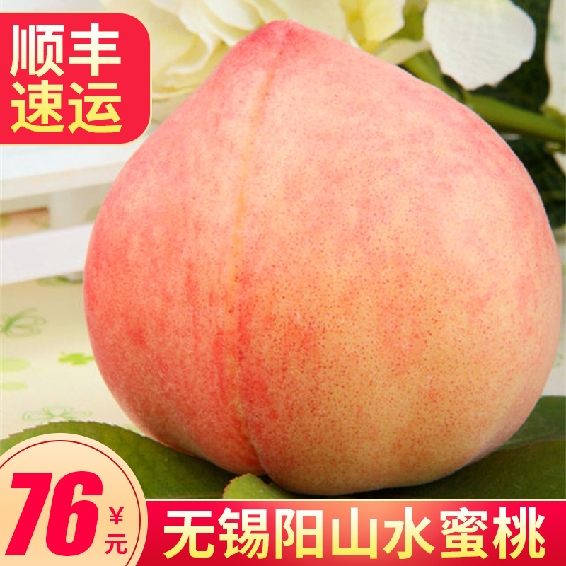 正宗無錫陽山水蜜桃汁多新鮮桃子肉多應季大水果5兩左右*12個在類目 水產肉類/新鮮蔬果/熟食, 新鮮水果, 桃中 - 來自Buy2taobao.com提供專業的淘寶代購服務