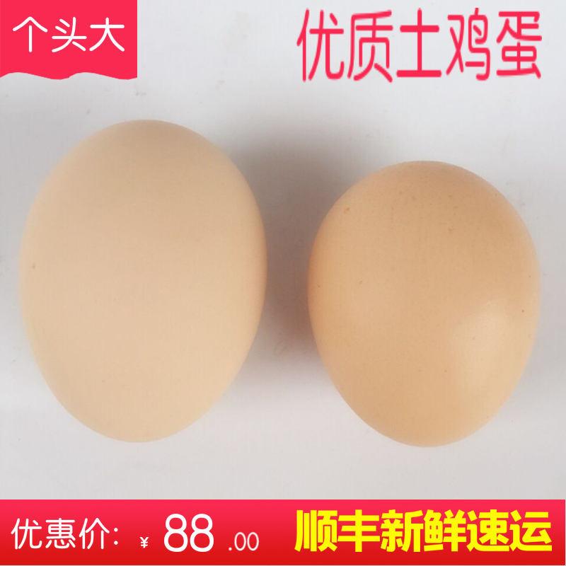 广东韶关乐昌农家土鸡蛋散养新鲜纯天然放养草鸡蛋柴笨鸡蛋30枚在类目 水产肉类/新鲜蔬果/熟食, 蛋/蛋制品, 鲜活蛋类, 鸡蛋中 - 来自Buy2taobao.com提供专业的淘宝代购服务